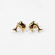 Dolphin Stud Earrings